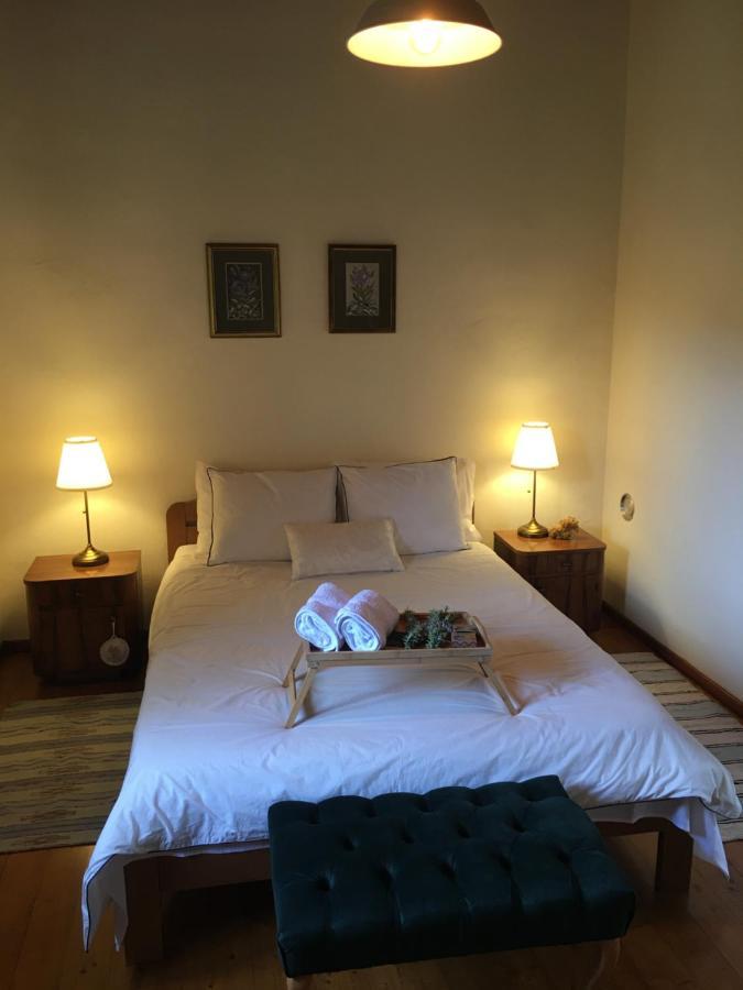 Holiday House Green Dream Obrovac Kültér fotó