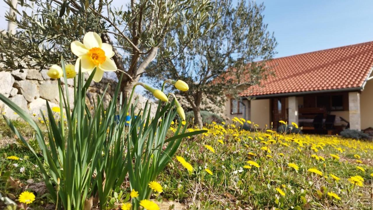 Holiday House Green Dream Obrovac Kültér fotó